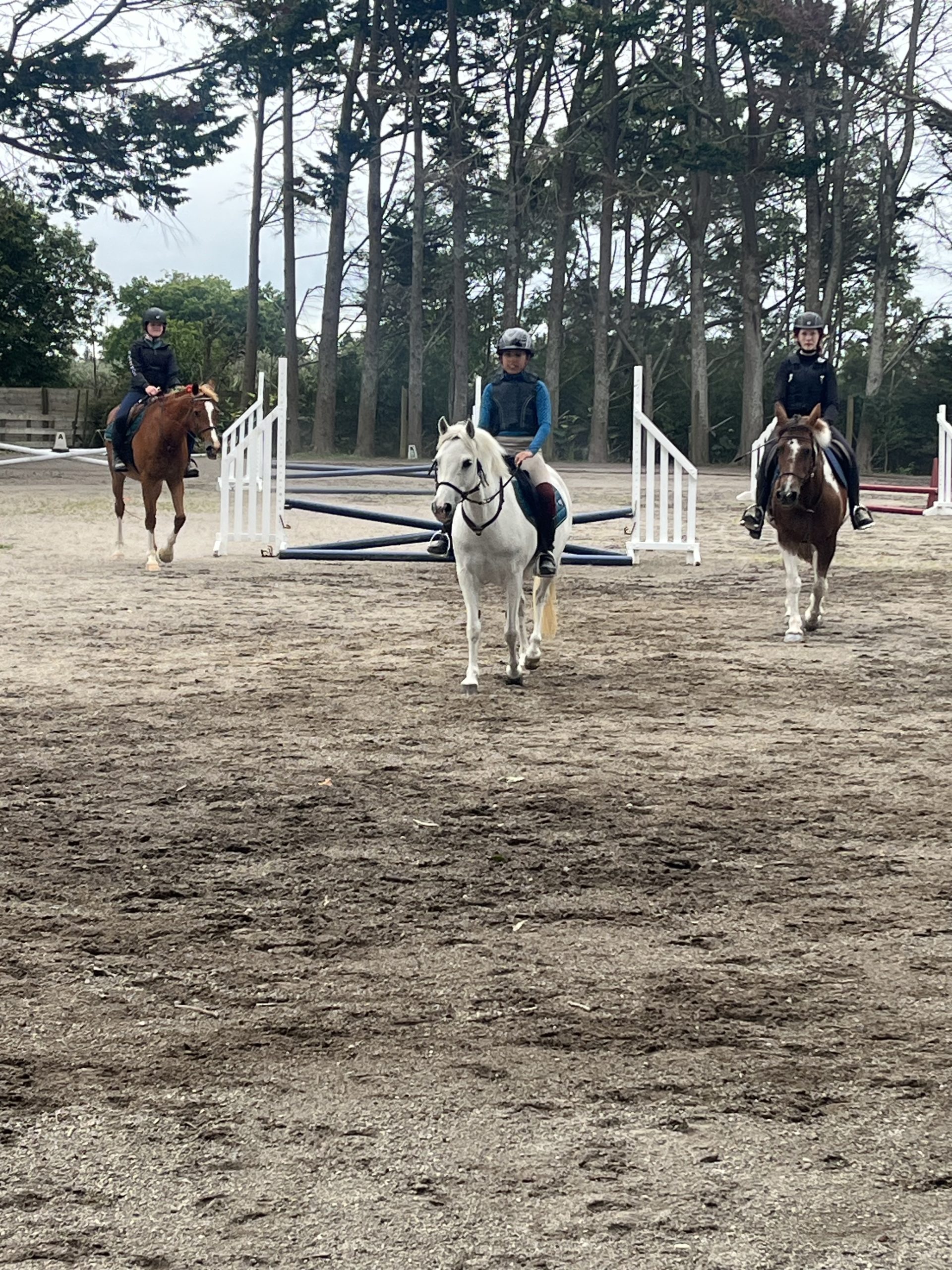 Pony Tales Riding School - Horse and pony riding lessons - Cambridge.